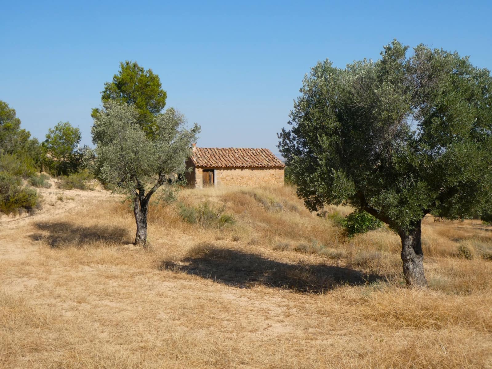 Finca/Landehus til salg i Maella - € 25.000 (Ref: 9100023)