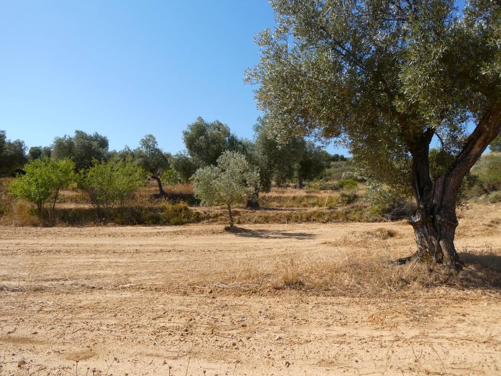 Finca/Landehus til salg i Maella - € 25.000 (Ref: 9100023)