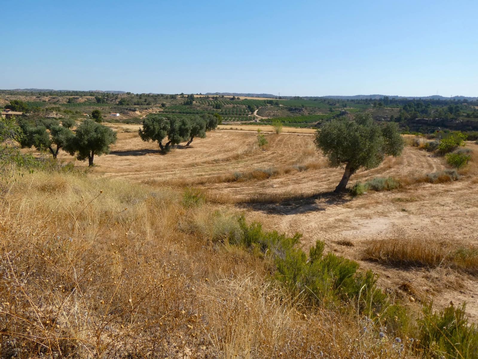 Finca/Landehus til salg i Maella - € 25.000 (Ref: 9100023)