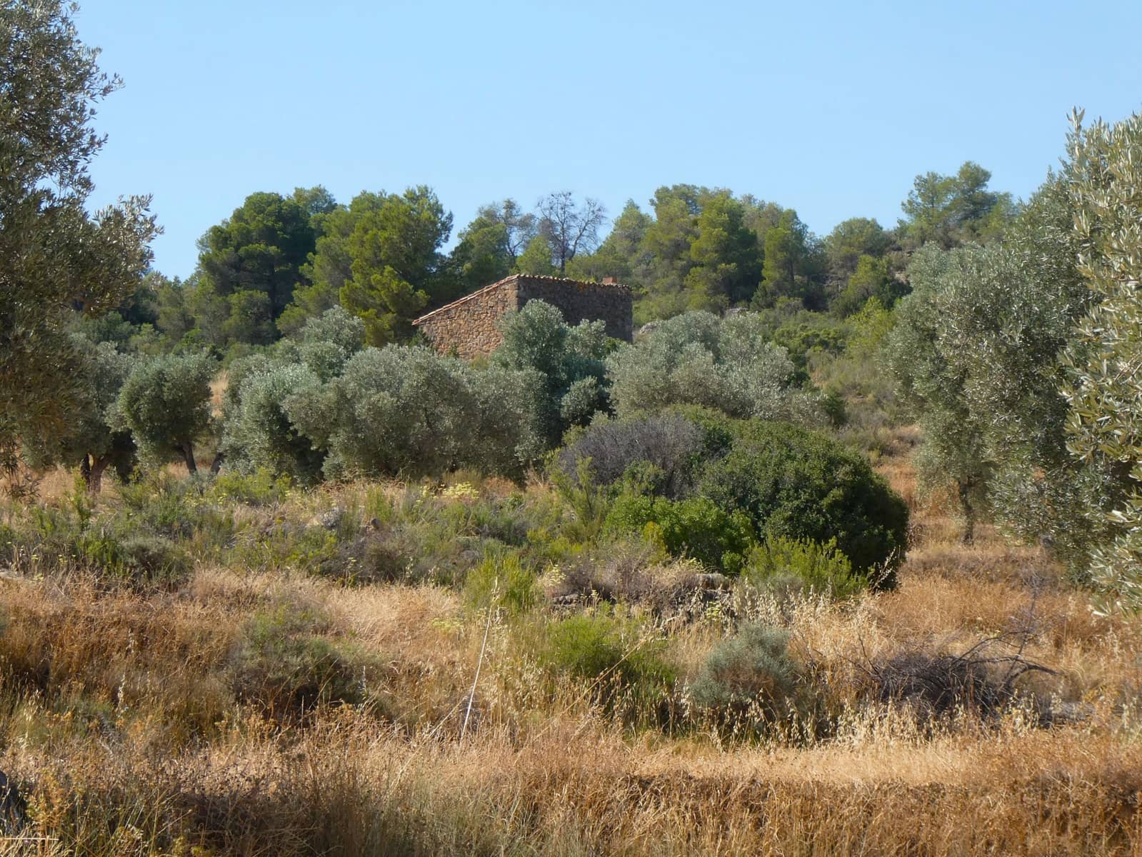 Finca/Landehus til salg i Maella - € 25.000 (Ref: 9100023)