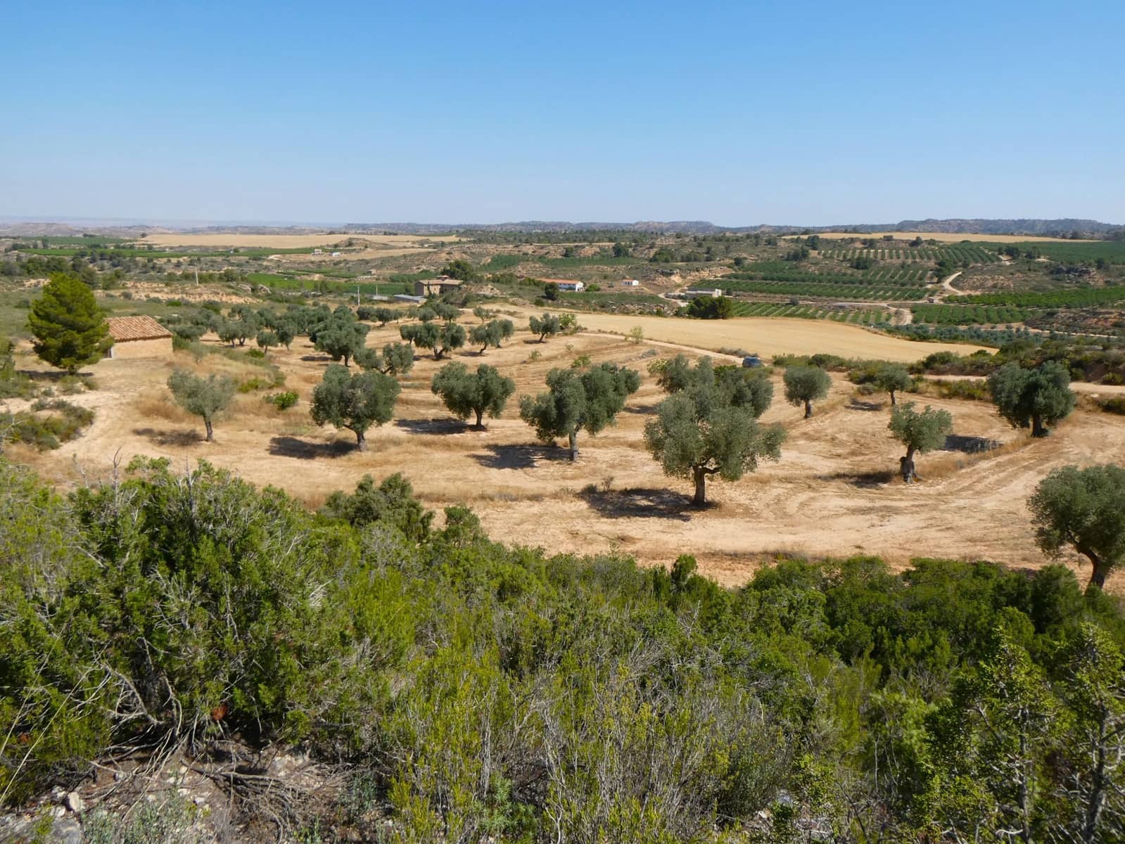 Finca/Landehus til salg i Maella - € 25.000 (Ref: 9100023)