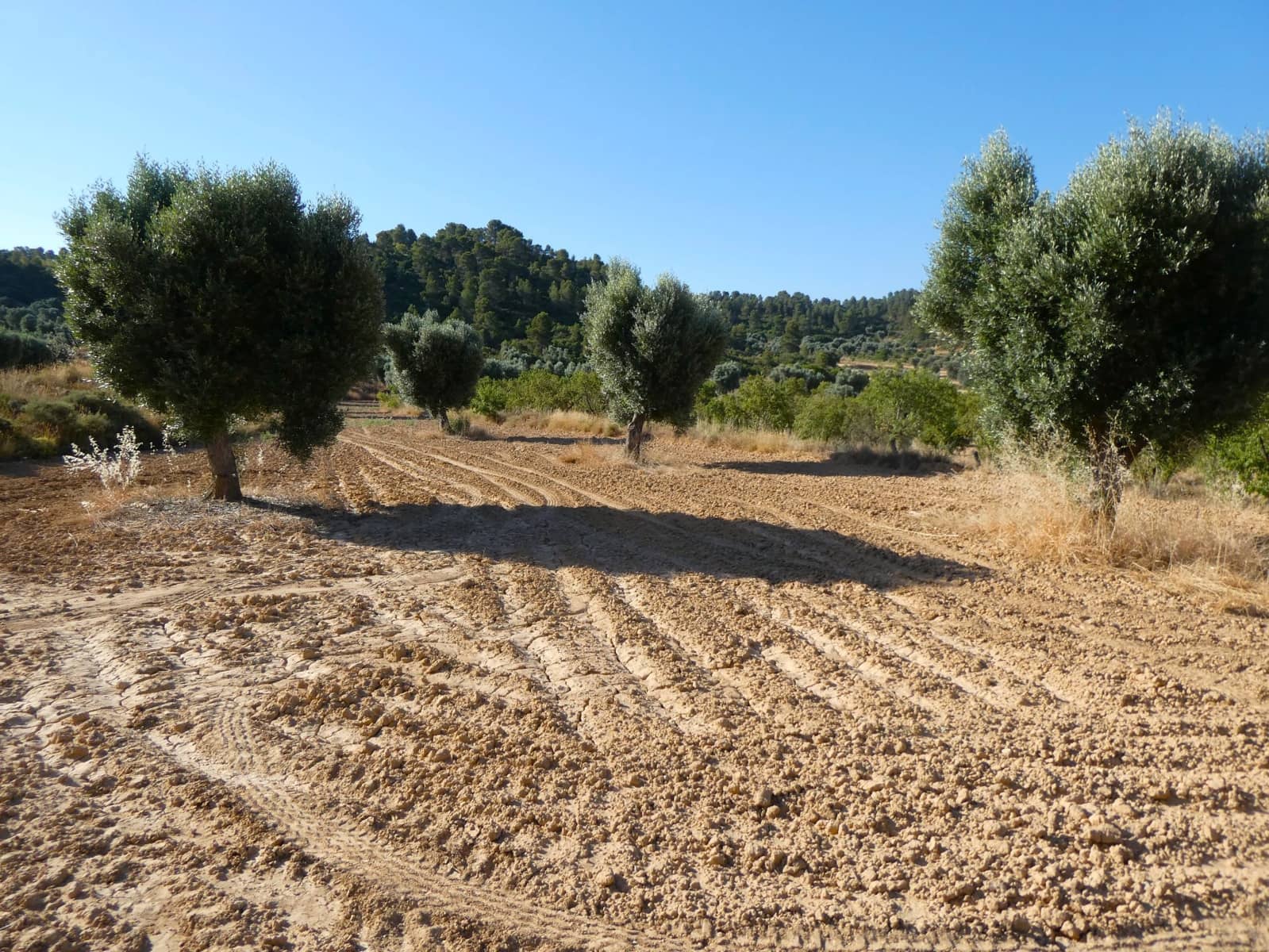 Finca/Landhuis te koop in Mazaleon - € 16.000 (Ref: 9100024)