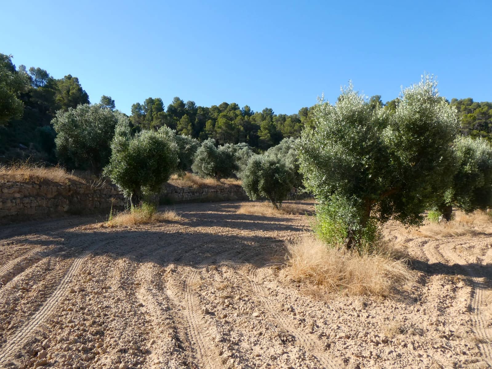 Finca/Landhuis te koop in Mazaleon - € 16.000 (Ref: 9100024)