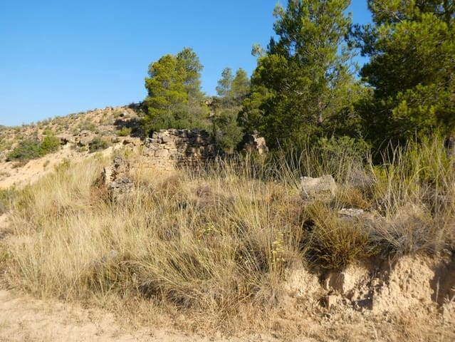 Finca/Herregård til salgs i Mazaleón - € 16 000 (Ref: 9100024)