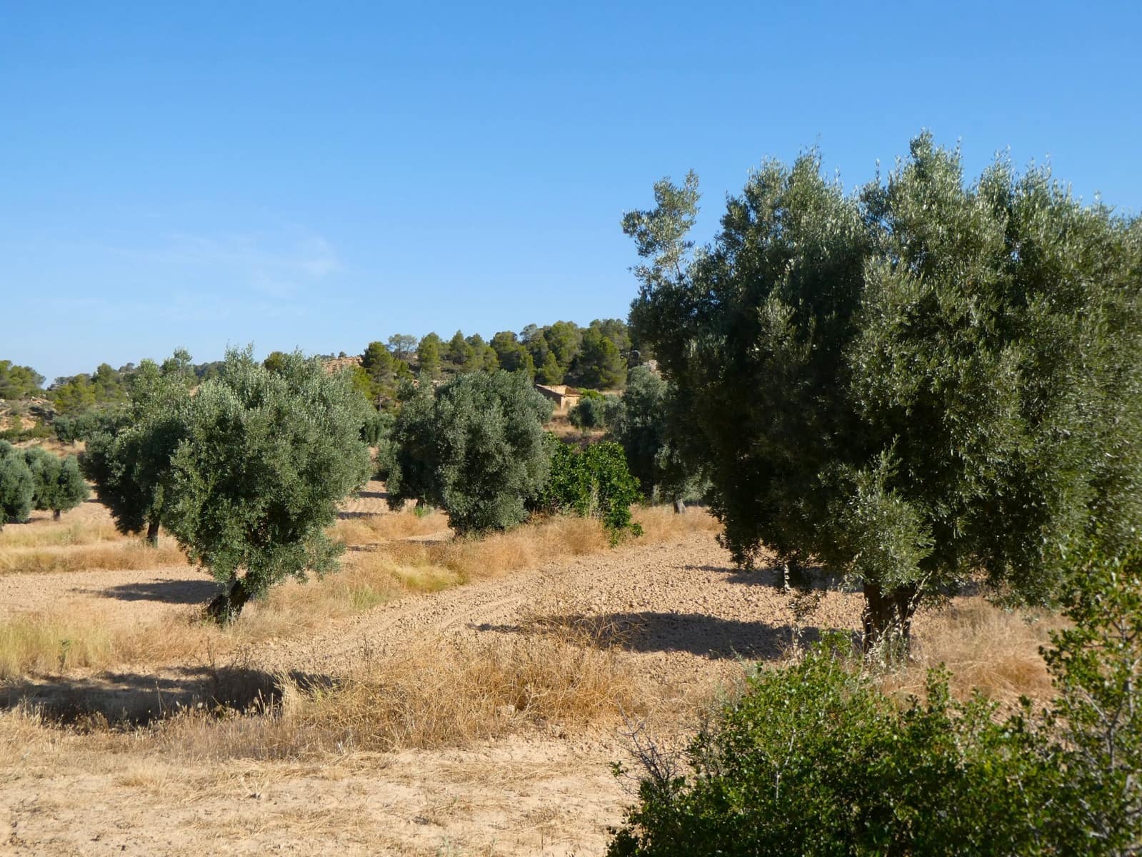 Finca/Landhuis te koop in Mazaleon - € 16.000 (Ref: 9100024)