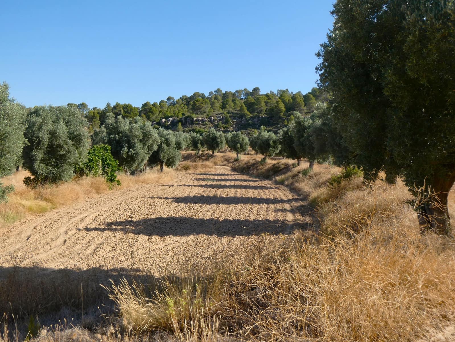 Finca/Landhuis te koop in Mazaleon - € 16.000 (Ref: 9100024)