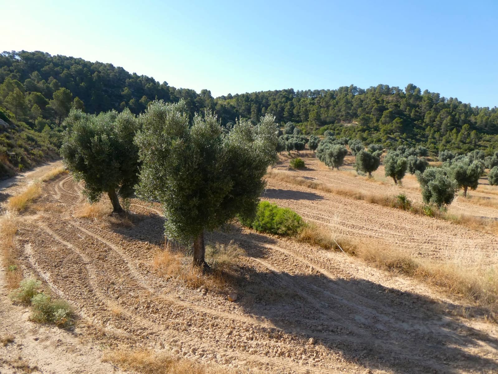 Finca/Landhuis te koop in Mazaleon - € 16.000 (Ref: 9100024)