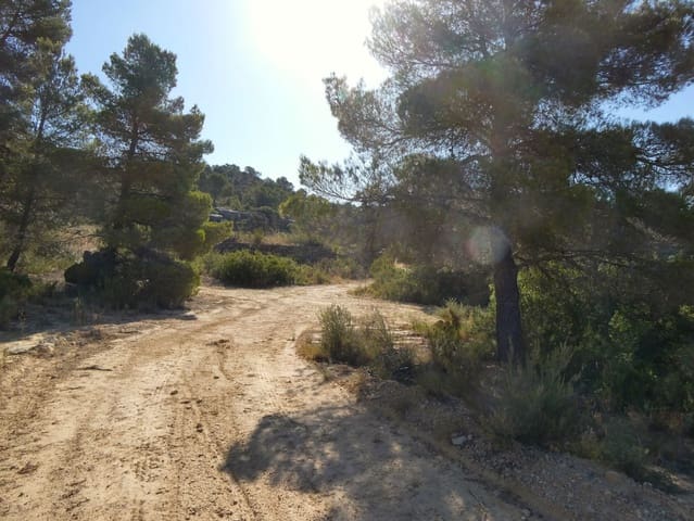 Finca/Casa Rural en Mazaleón en venta - 16.000 € (Ref: 9100024)