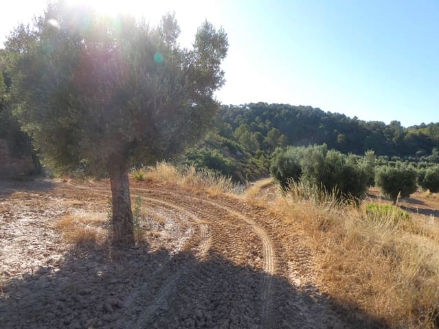 Finca/Casa Rural en Mazaleón en venta - 16.000 € (Ref: 9100024)