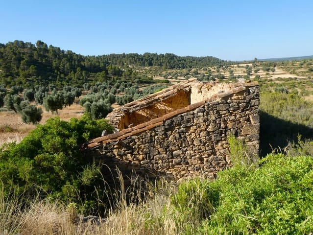 Finca/Casa Rural en Mazaleón en venta - 16.000 € (Ref: 9100024)