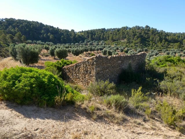 Finca/Casa Rural en Mazaleón en venta - 16.000 € (Ref: 9100024)