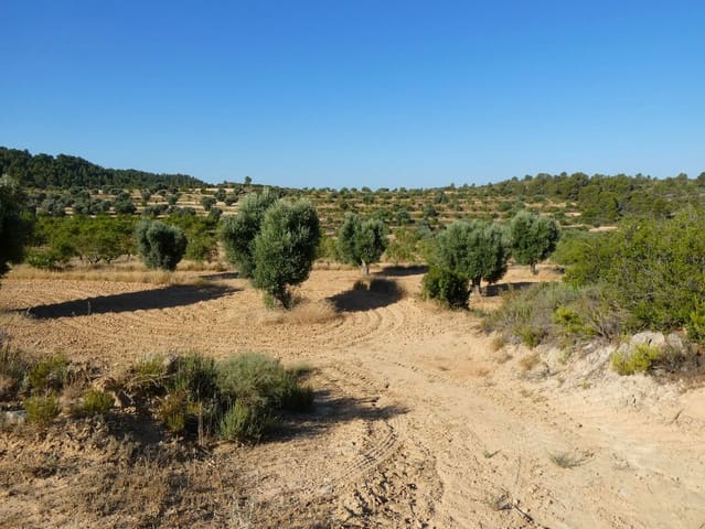 Finca/Casa Rural en Mazaleón en venta - 16.000 € (Ref: 9100024)