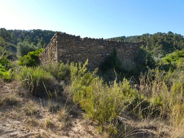 Finca/Casa Rural en Mazaleón en venta - 16.000 € (Ref: 9100024)