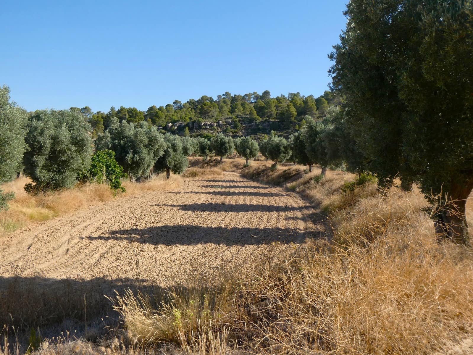 Finca/Landehus til salg i Mazaleon - € 16.000 (Ref: 9100024)