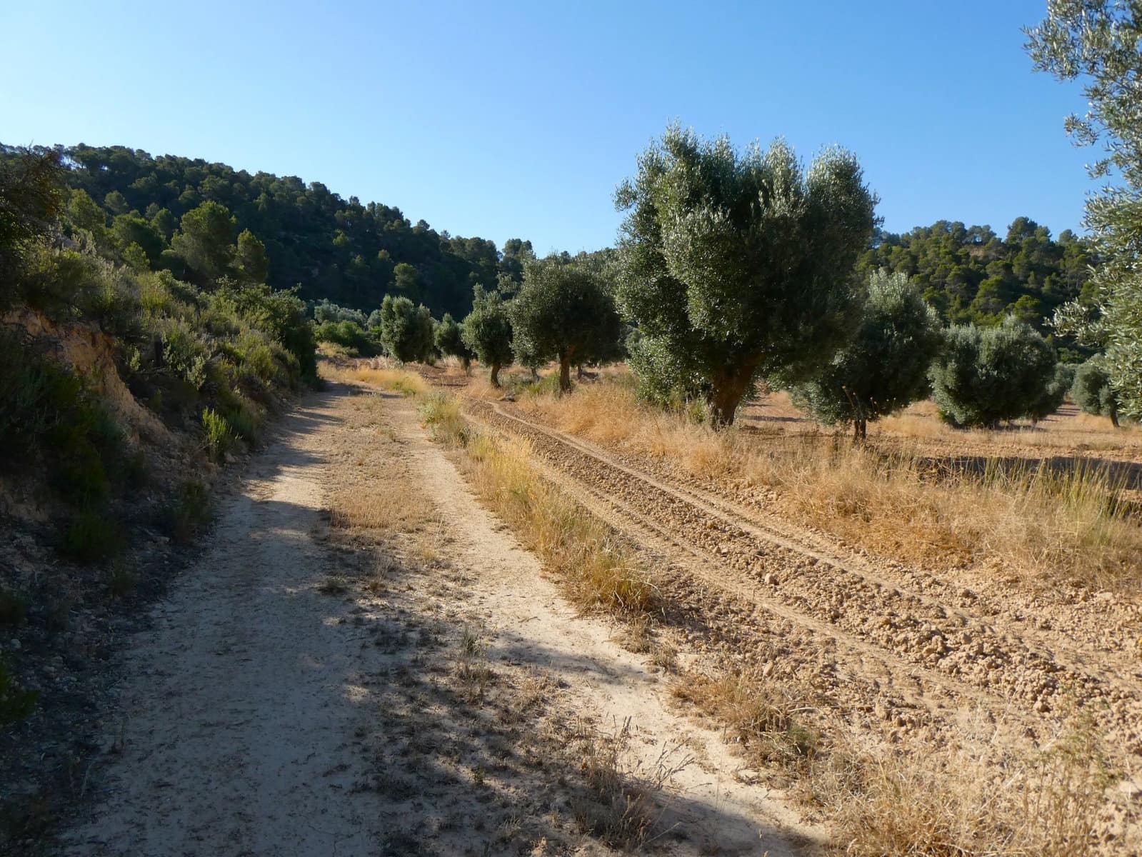 Finca/Landehus til salg i Mazaleon - € 16.000 (Ref: 9100024)