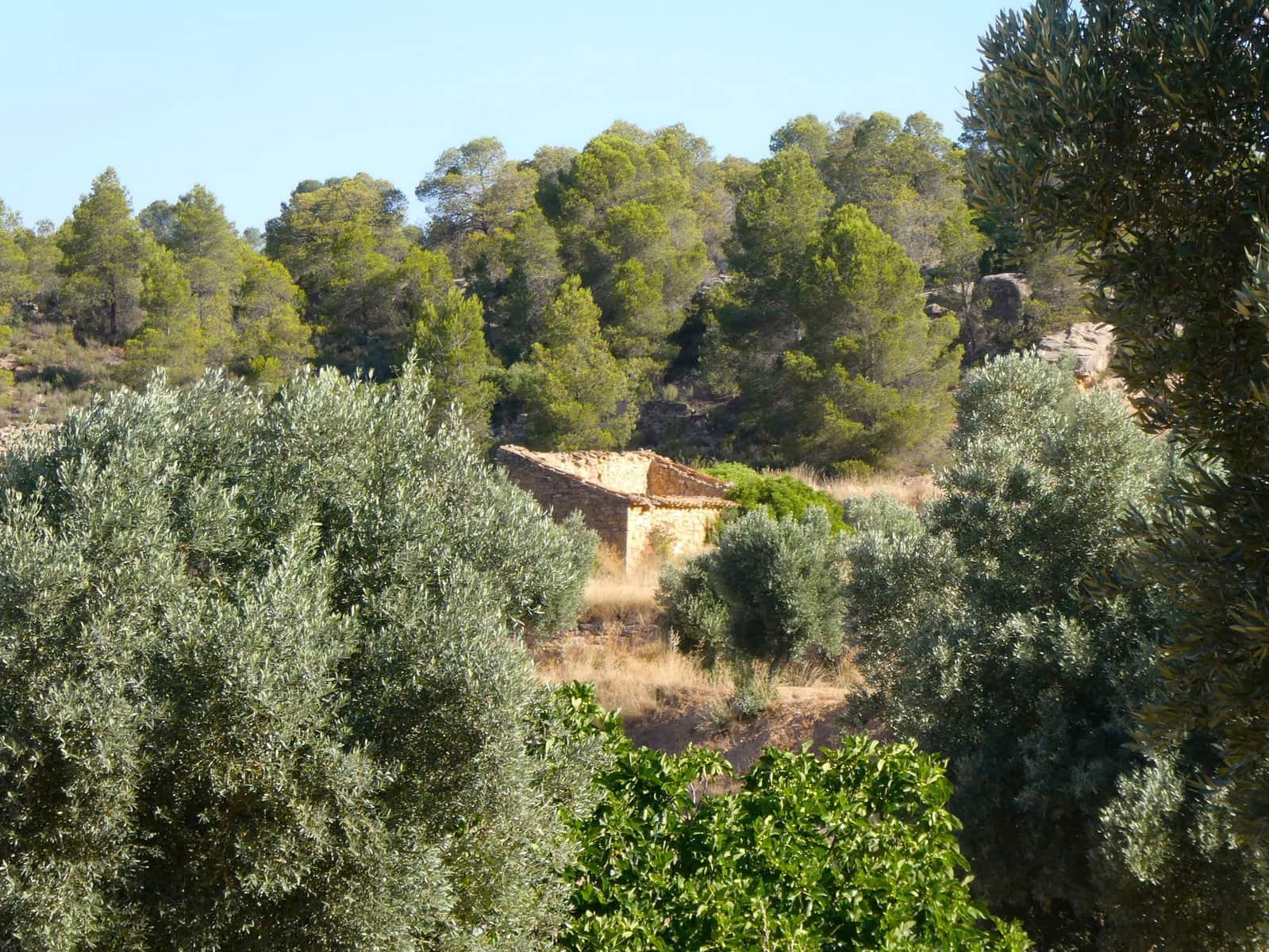 Finca/Landehus til salg i Mazaleon - € 16.000 (Ref: 9100024)