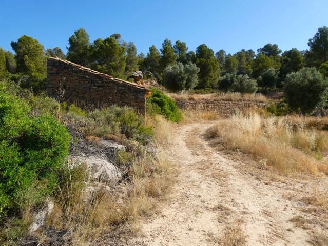 Finca/Casa Rural en Mazaleón en venta - 16.000 € (Ref: 9100024)