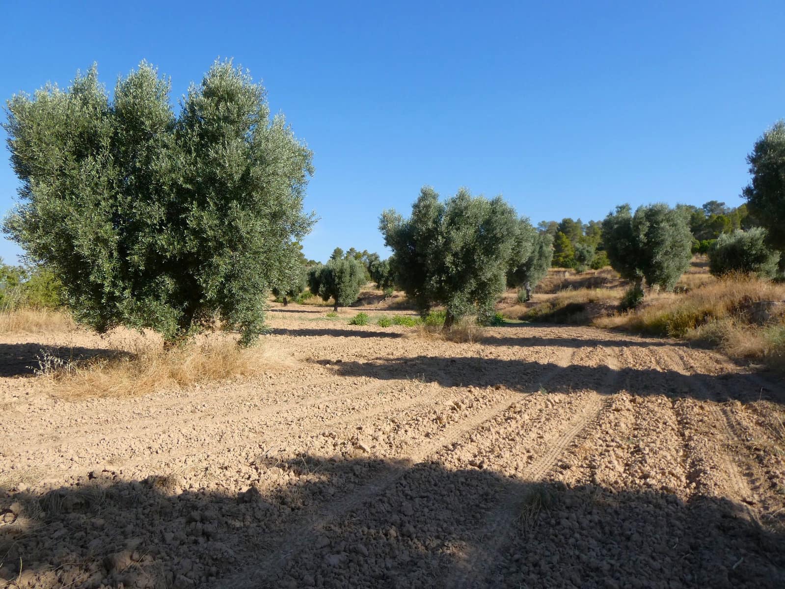 Finca/Landehus til salg i Mazaleon - € 16.000 (Ref: 9100024)