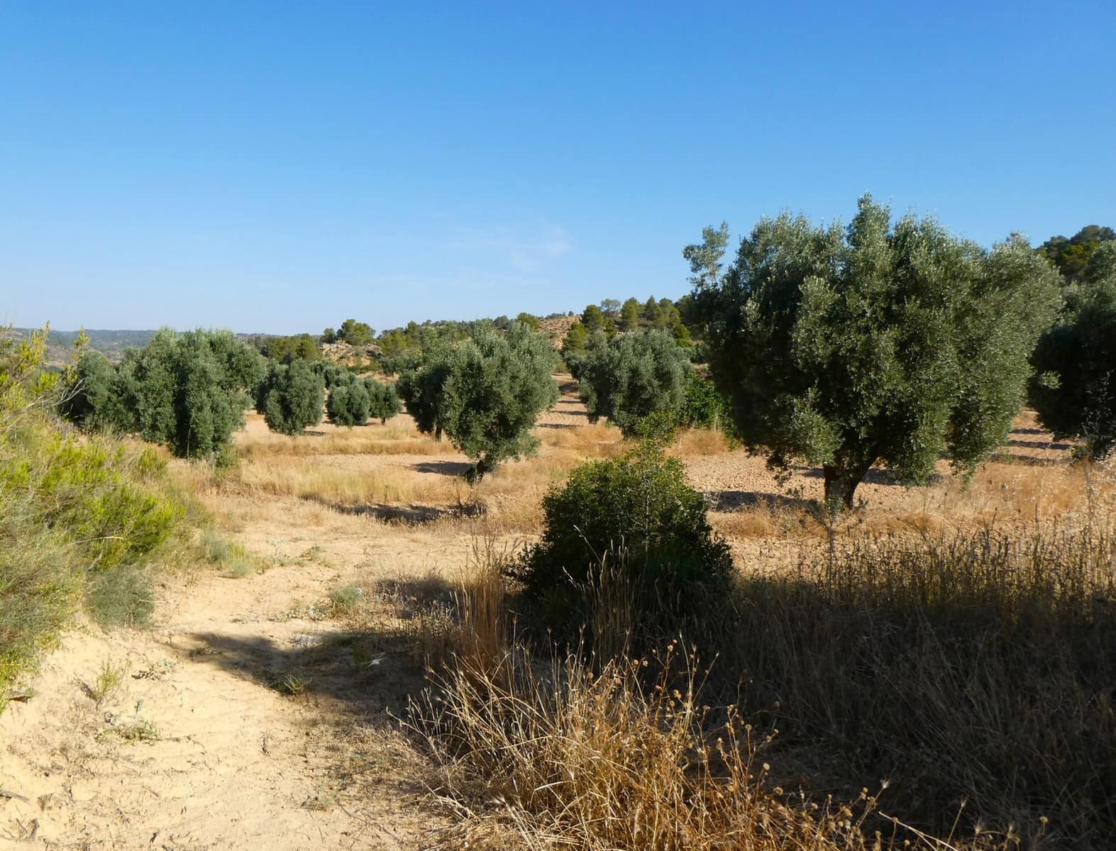 Finca/Landehus til salg i Mazaleon - € 16.000 (Ref: 9100024)