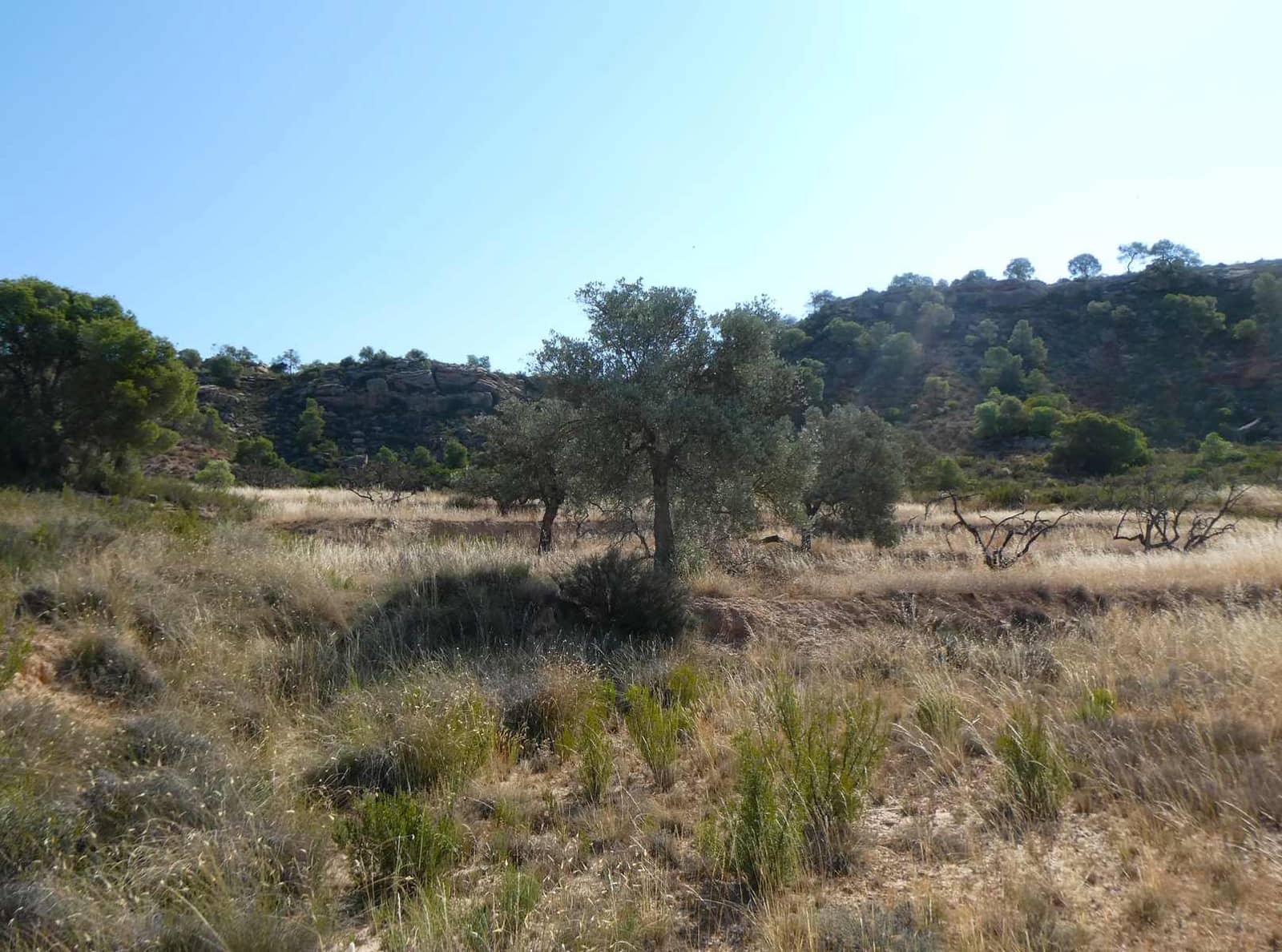 2 soveværelse Finca/Landehus til salg i Caspe - € 69.000 (Ref: 9156301)