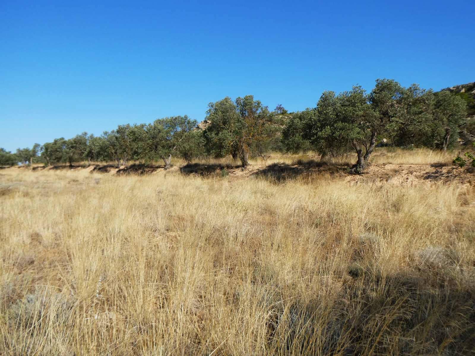 2 soveværelse Finca/Landehus til salg i Caspe - € 69.000 (Ref: 9156301)