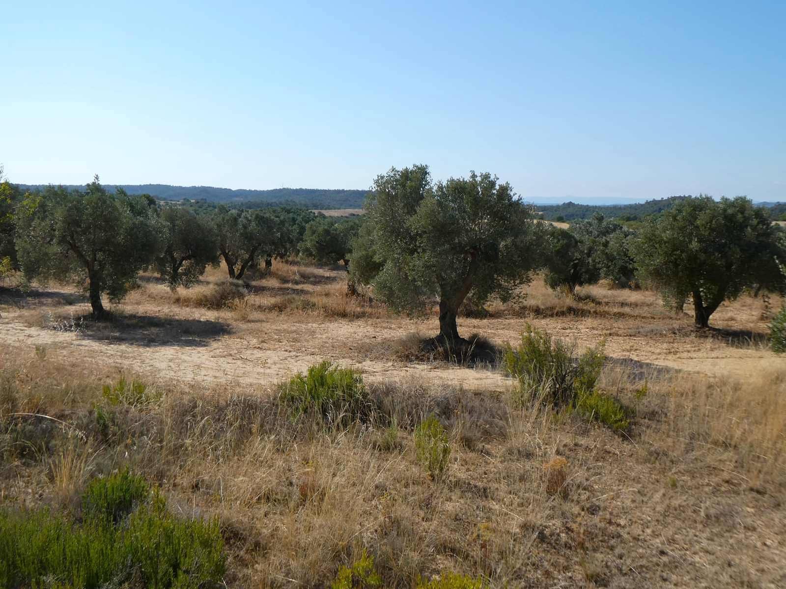 2 soveværelse Finca/Landehus til salg i Caspe - € 69.000 (Ref: 9156301)