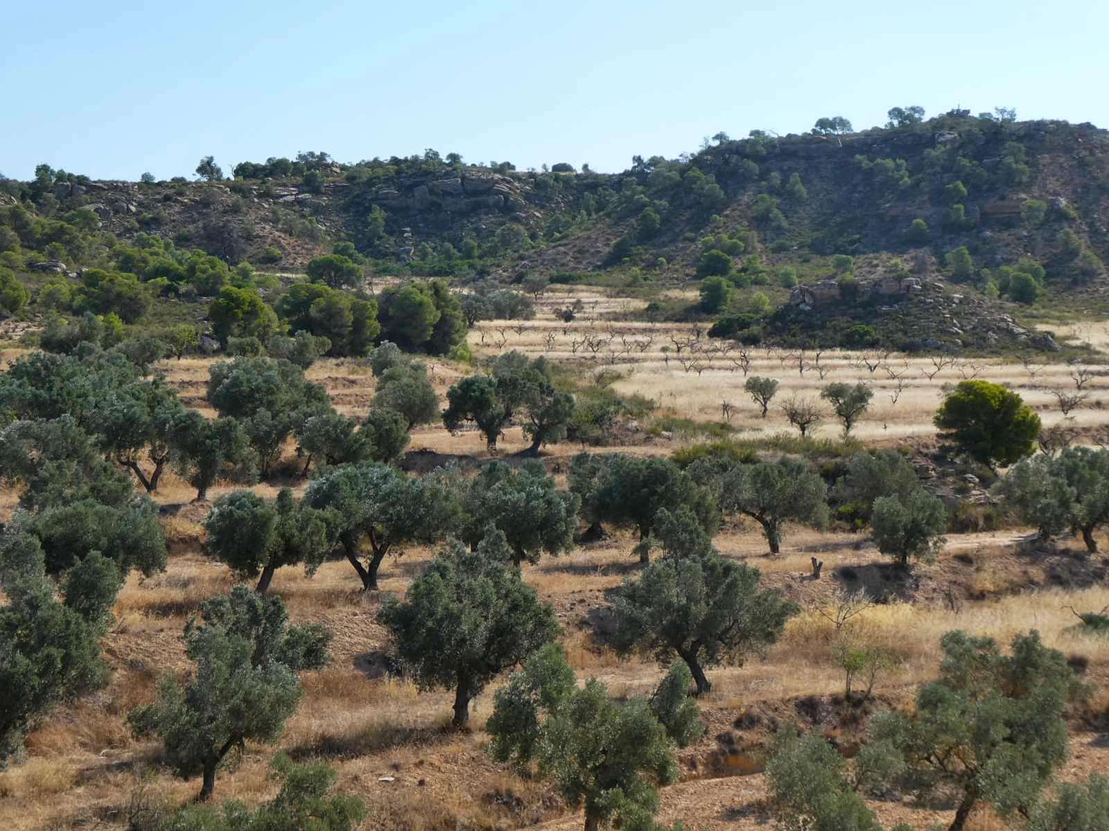 2 soveværelse Finca/Landehus til salg i Caspe - € 69.000 (Ref: 9156301)