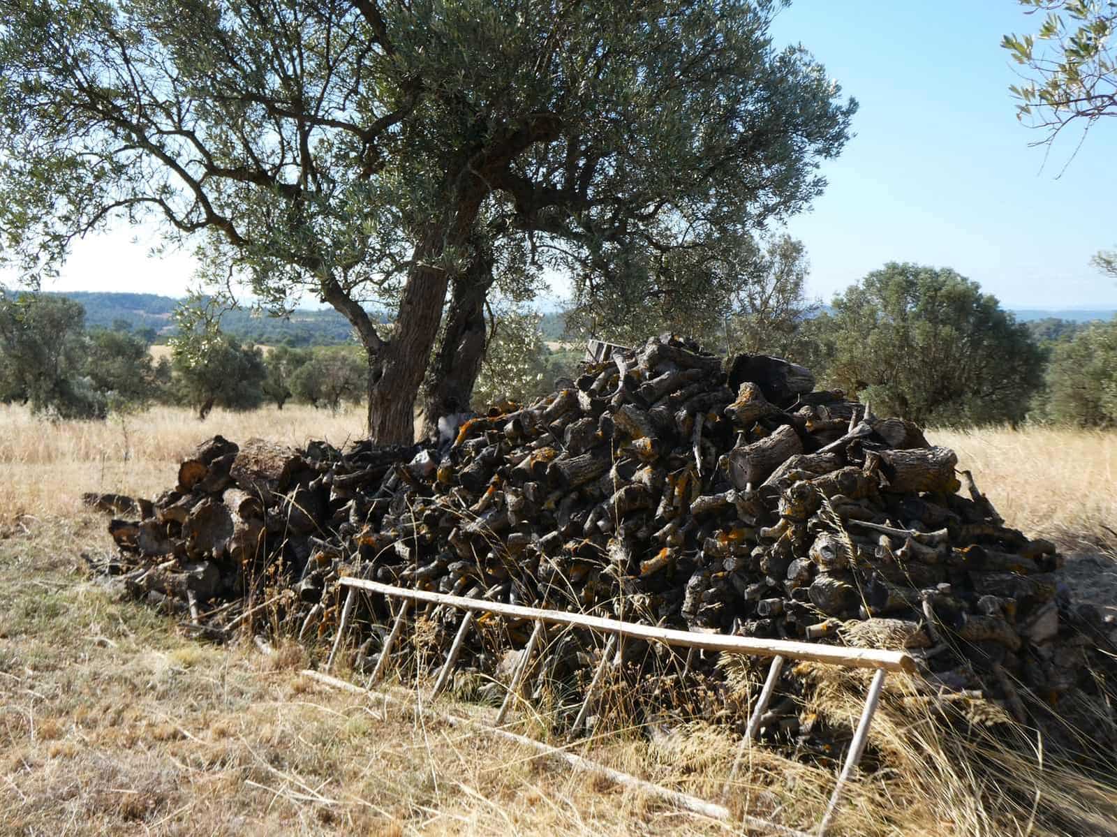 2 soveværelse Finca/Landehus til salg i Caspe - € 69.000 (Ref: 9156301)