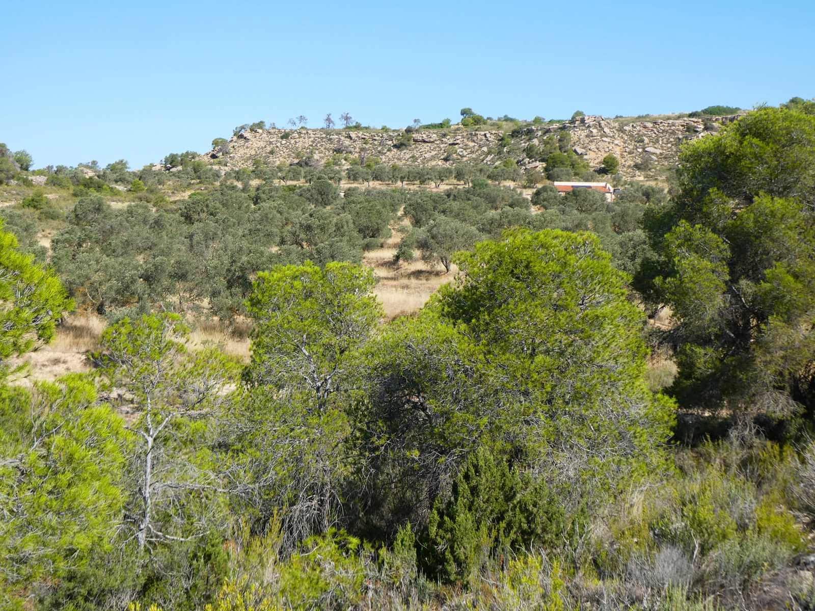 2 soveværelse Finca/Landehus til salg i Caspe - € 69.000 (Ref: 9156301)