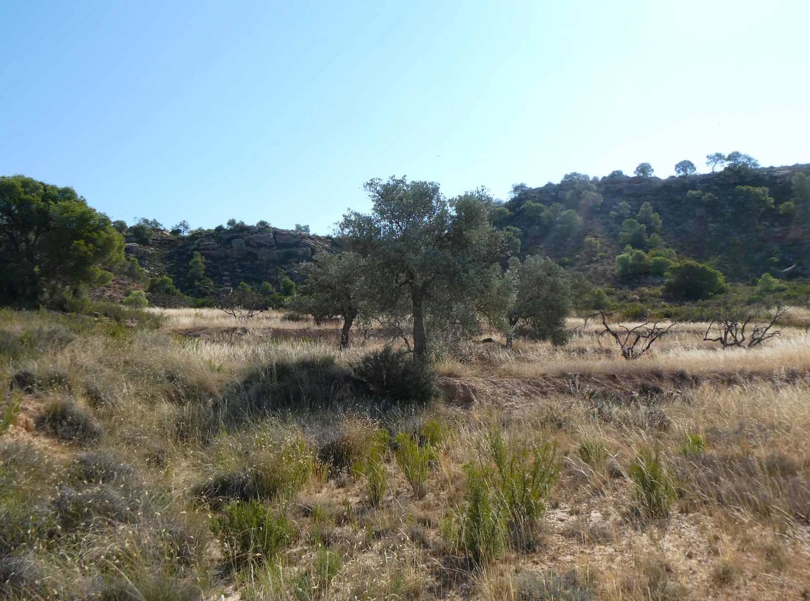 Finca/Casa Rural de 2 habitaciones en Caspe en venta - 67.000 € (Ref: 9156301)