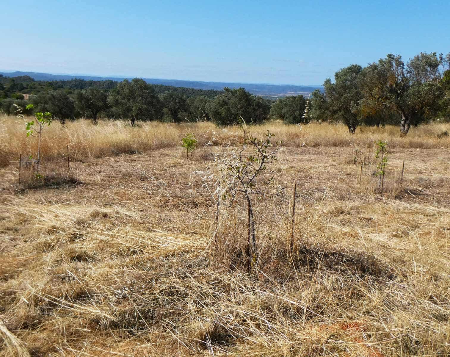 Finca/Casa Rural de 2 habitaciones en Caspe en venta - 67.000 € (Ref: 9156301)