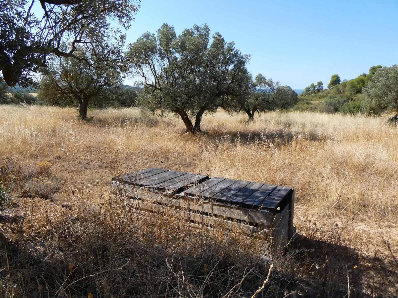 Finca/Casa Rural de 2 habitaciones en Caspe en venta - 67.000 € (Ref: 9156301)