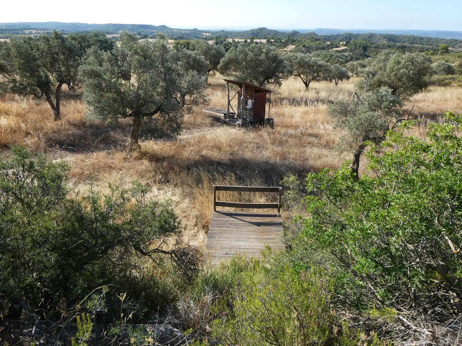 Finca/Casa Rural de 2 habitaciones en Caspe en venta - 67.000 € (Ref: 9156301)