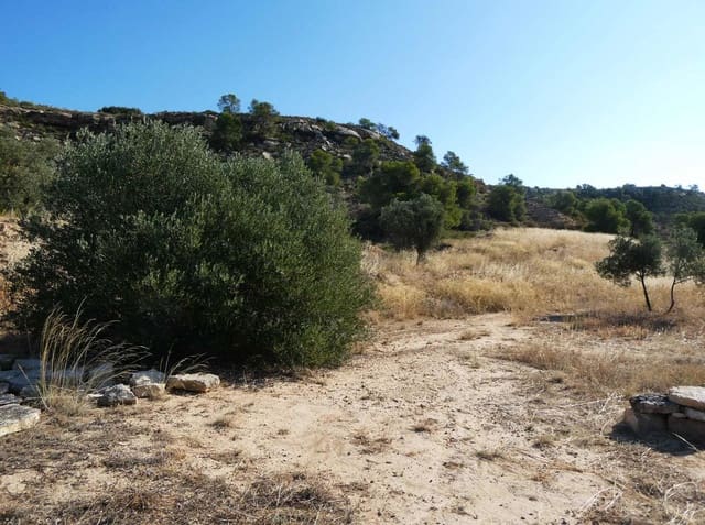 2 chambre Finca/Maison de Campagne à vendre à Caspe - 67 000 € (Ref: 9156301)