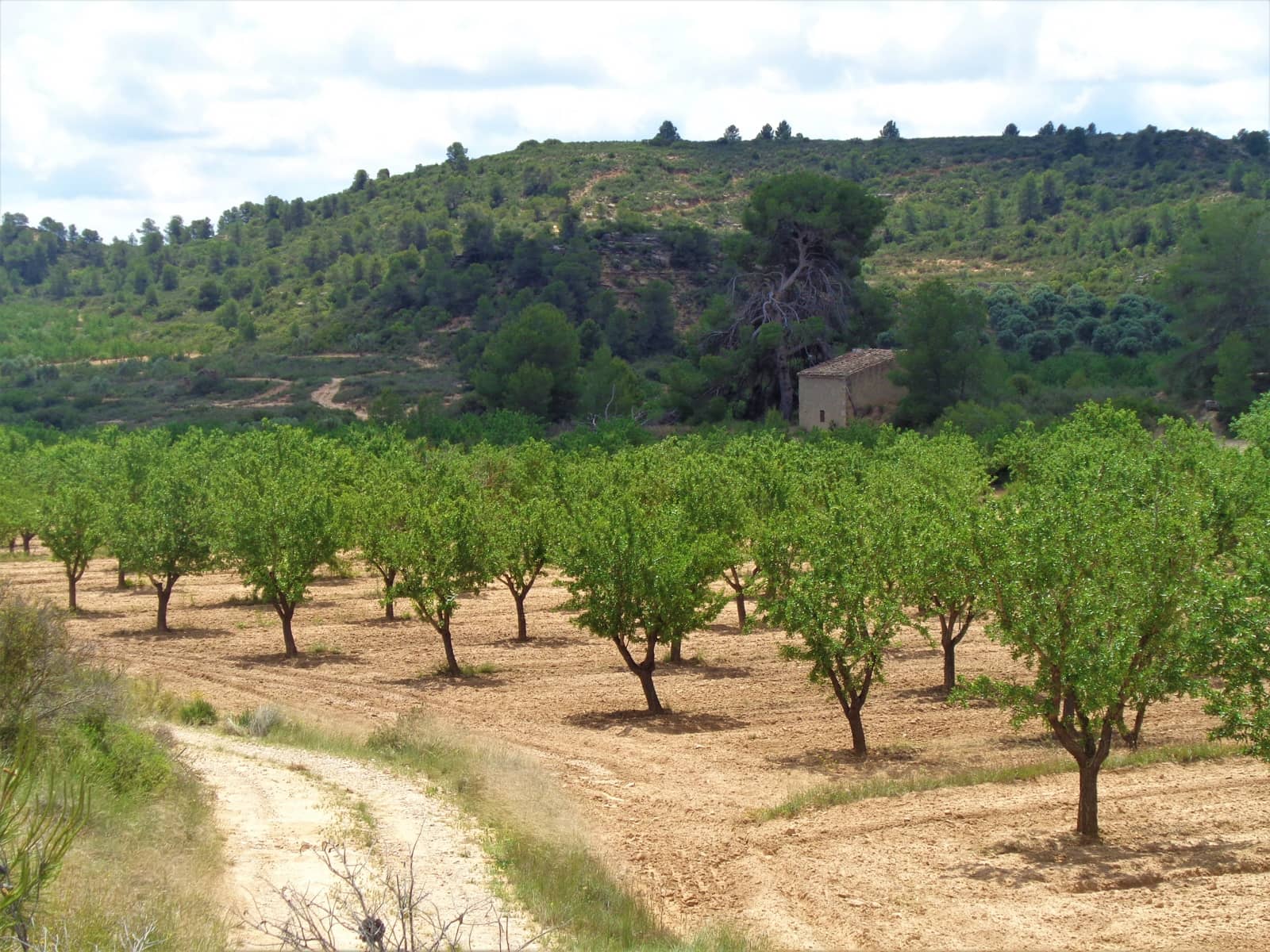 Finca/Landehus til salg i Maella - € 43.000 (Ref: 9190500)