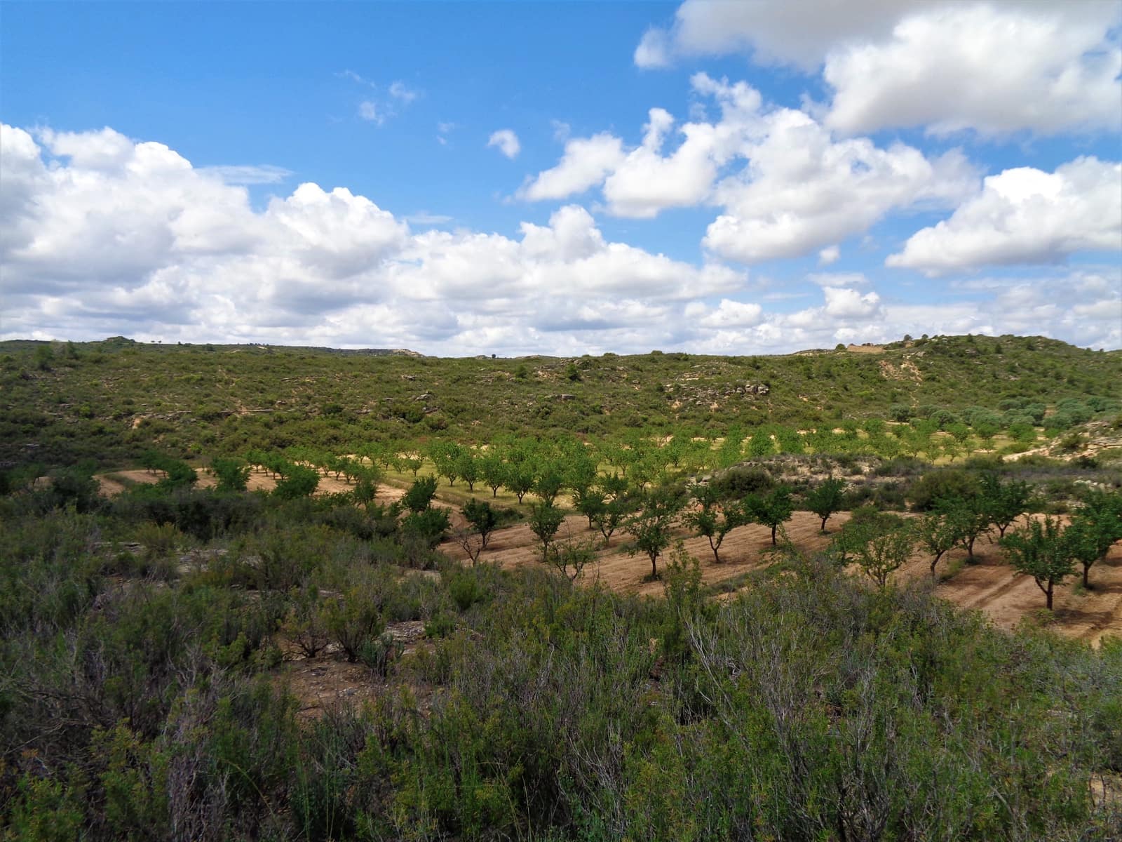 Finca/Landehus til salg i Maella - € 43.000 (Ref: 9190500)