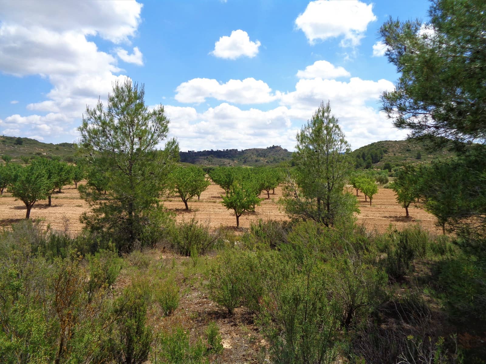 Finca/Landehus til salg i Maella - € 43.000 (Ref: 9190500)