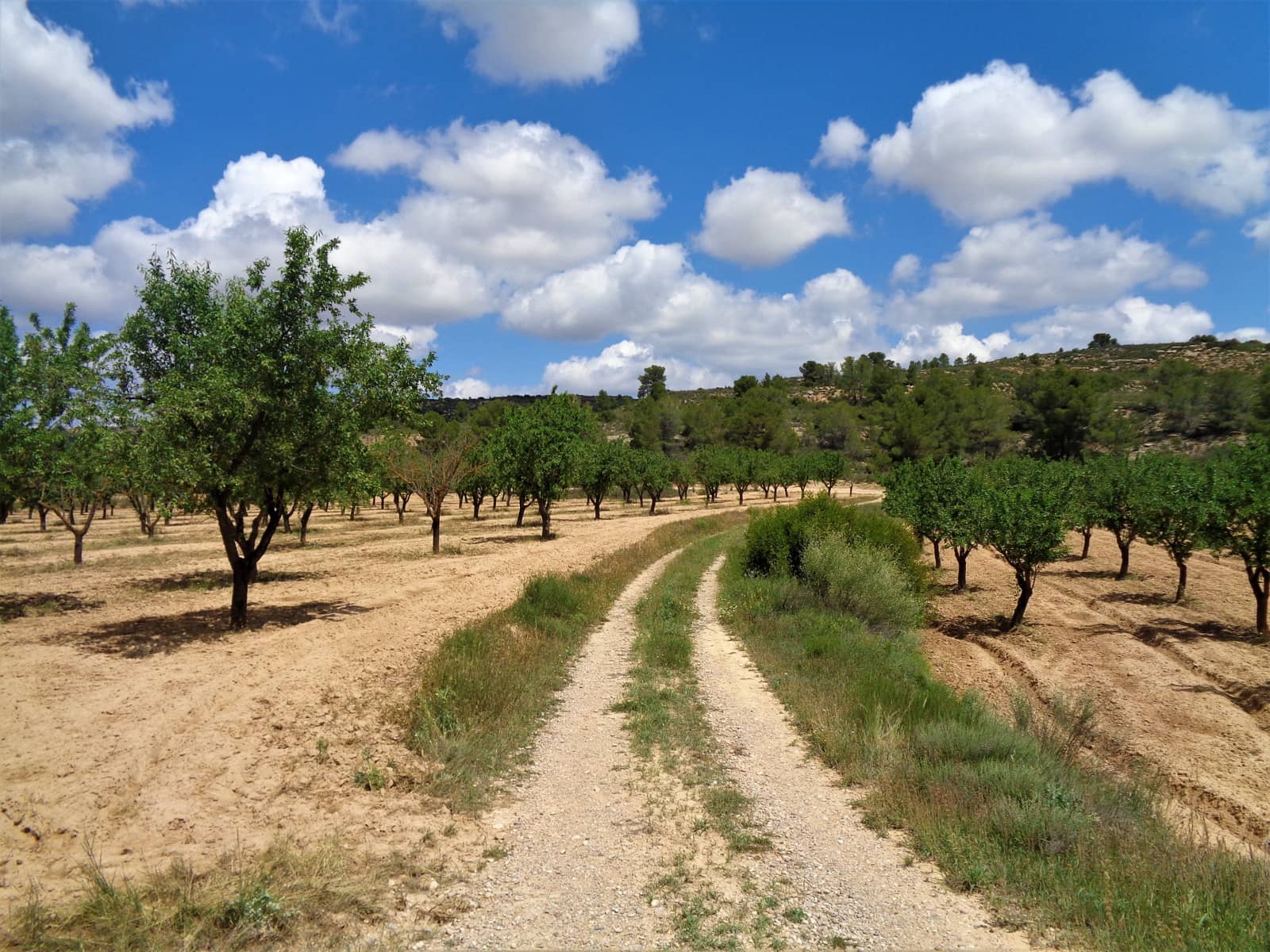 Finca/Landehus til salg i Maella - € 43.000 (Ref: 9190500)