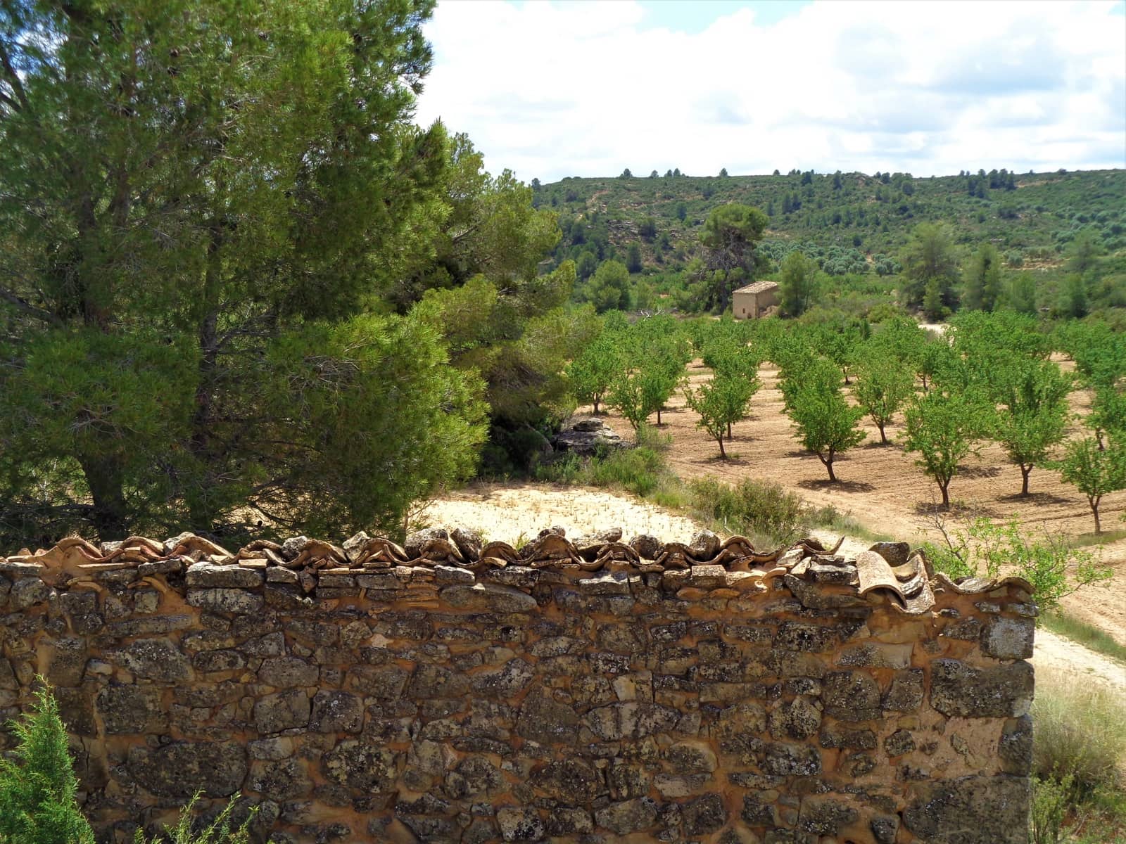 Finca/Landehus til salg i Maella - € 43.000 (Ref: 9190500)