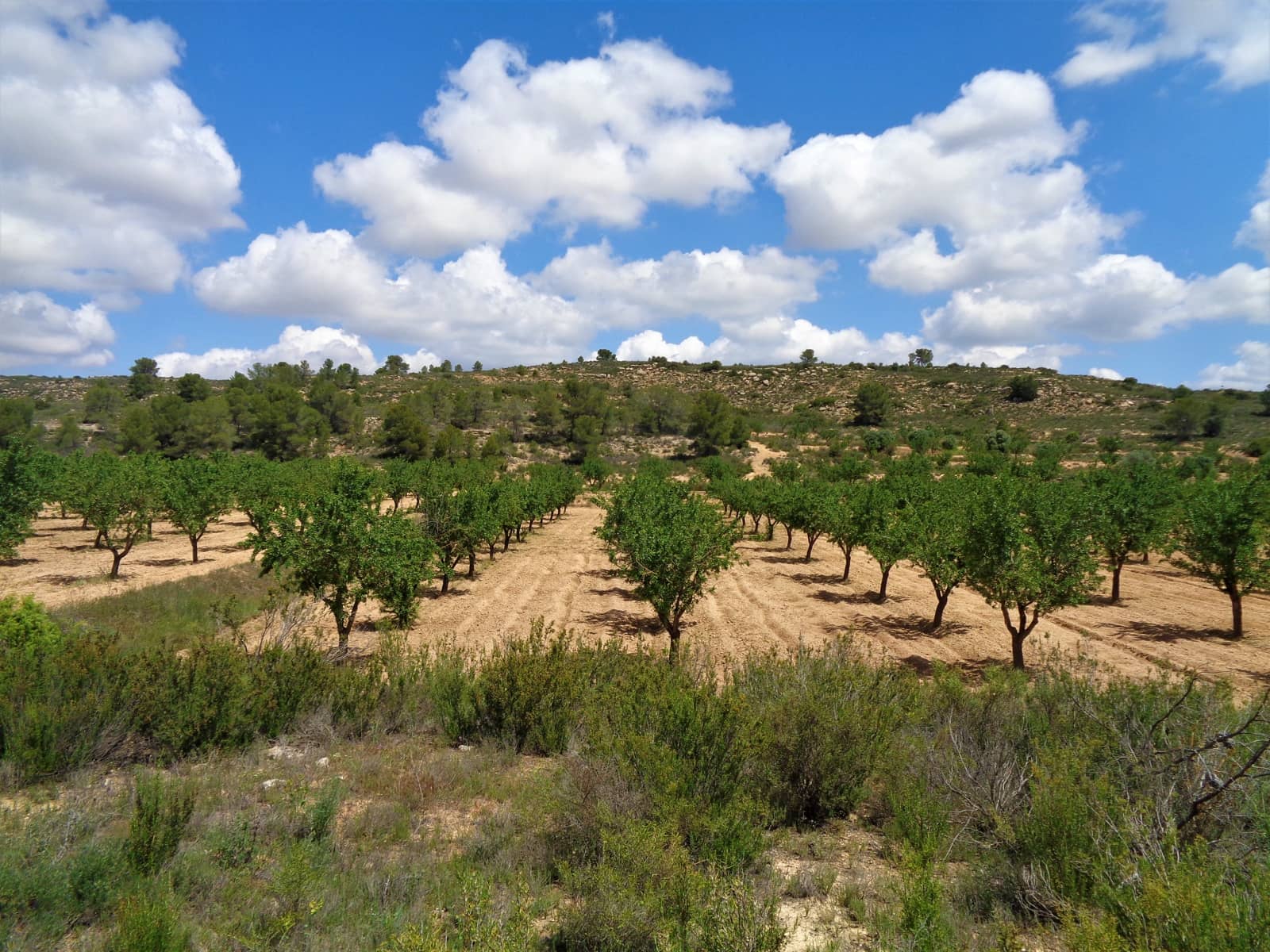 Finca/Landehus til salg i Maella - € 43.000 (Ref: 9190500)