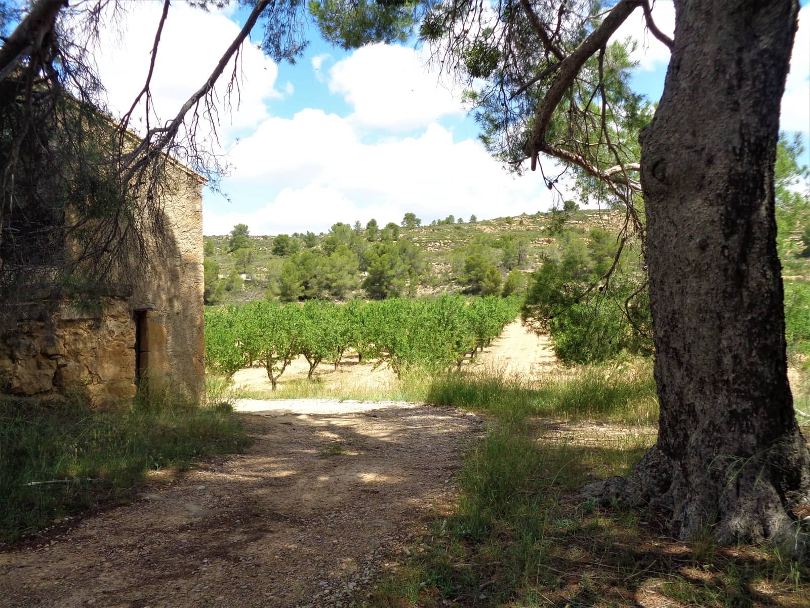 Finca/Landehus til salg i Maella - € 43.000 (Ref: 9190500)