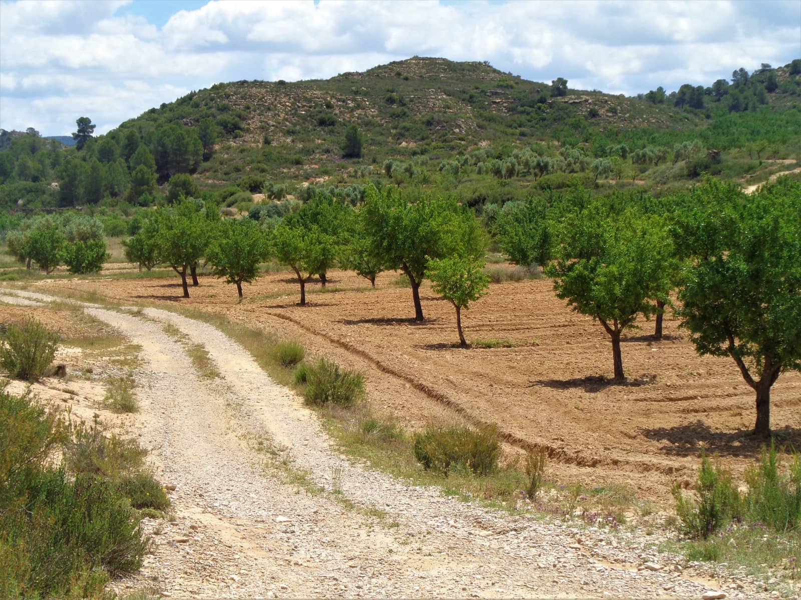 Finca/Landehus til salg i Maella - € 43.000 (Ref: 9190500)