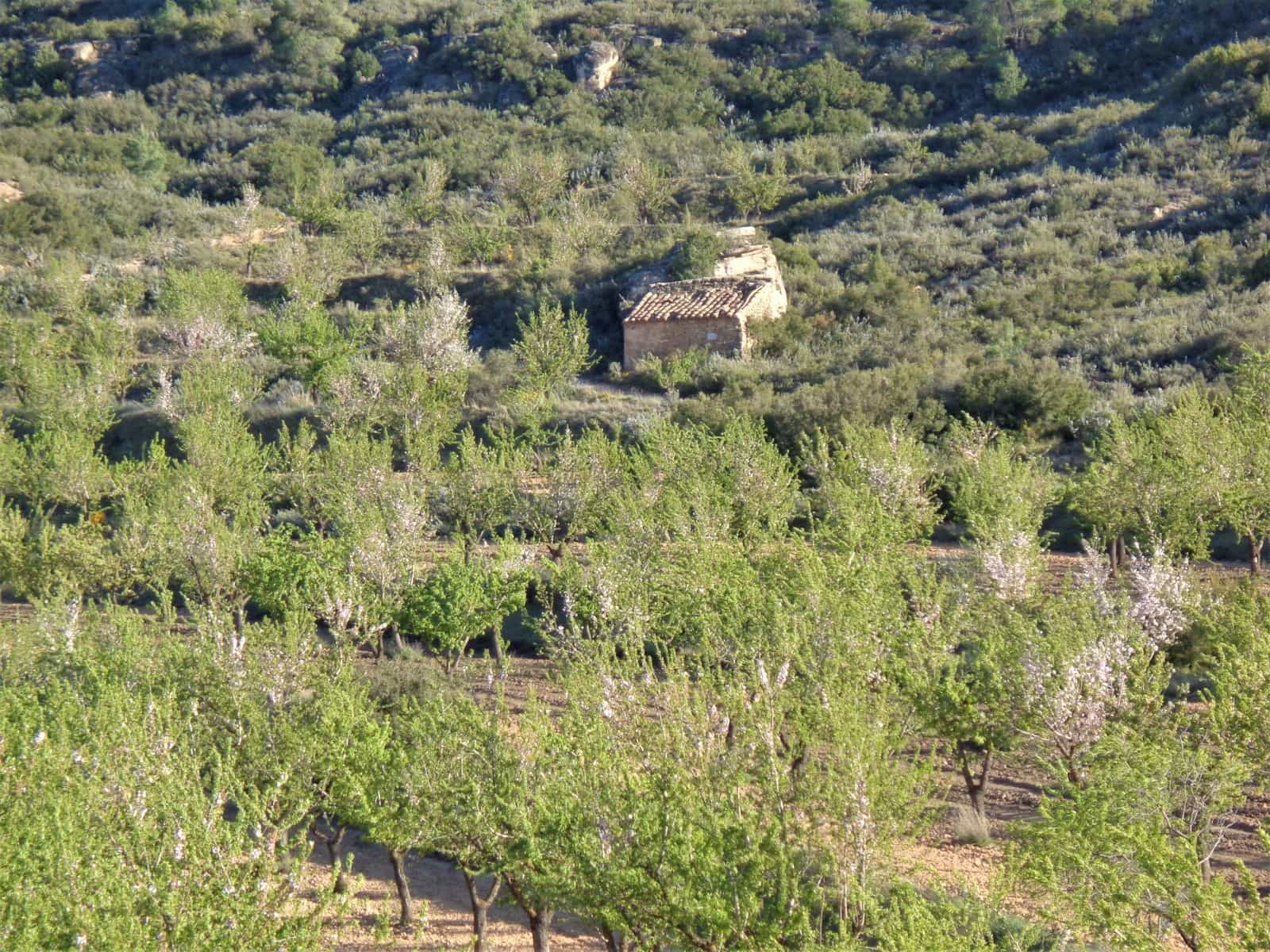 Finca/Landehus til salg i Maella - € 43.000 (Ref: 9190500)