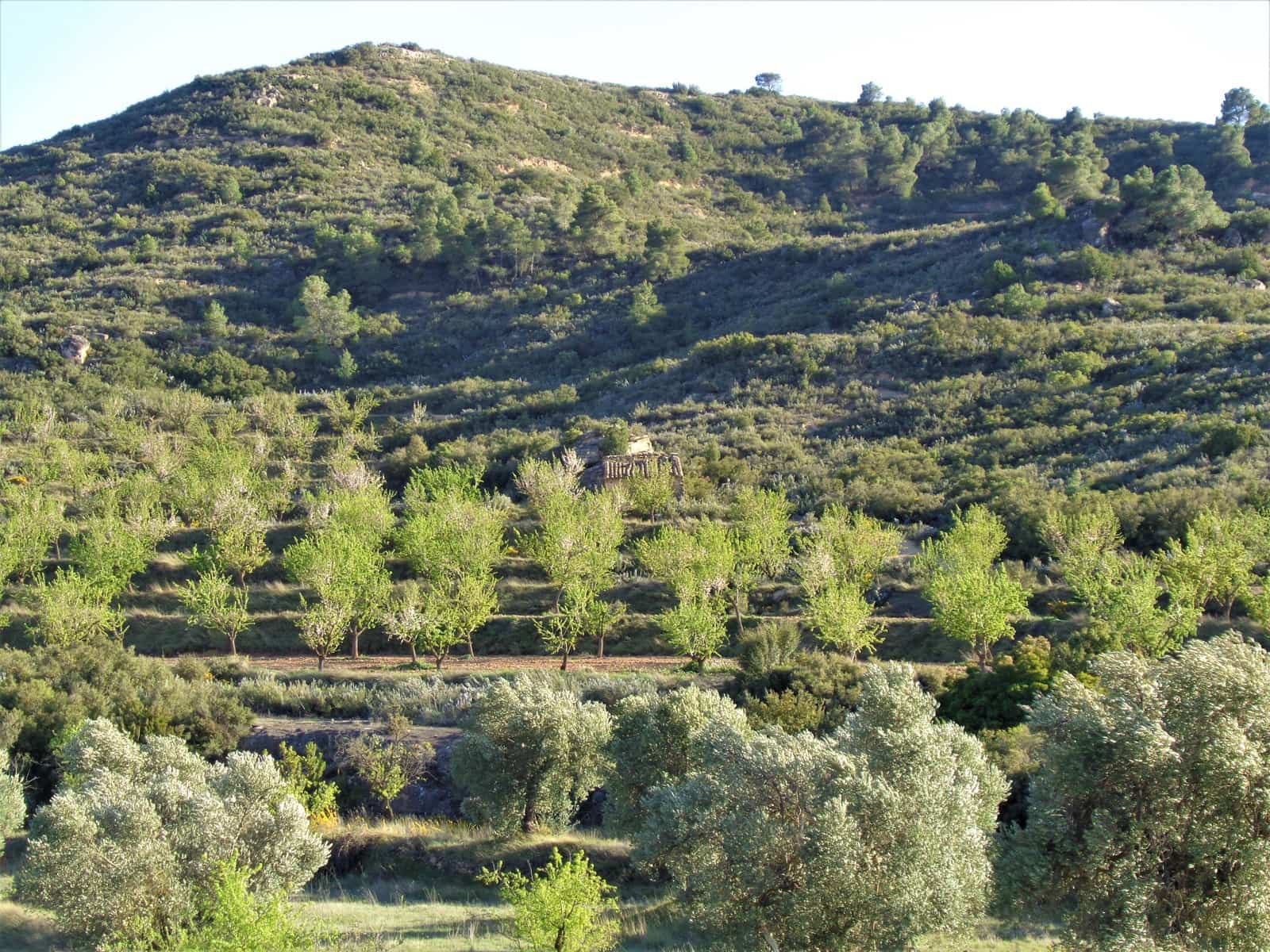 Finca/Landehus til salg i Maella - € 43.000 (Ref: 9190500)