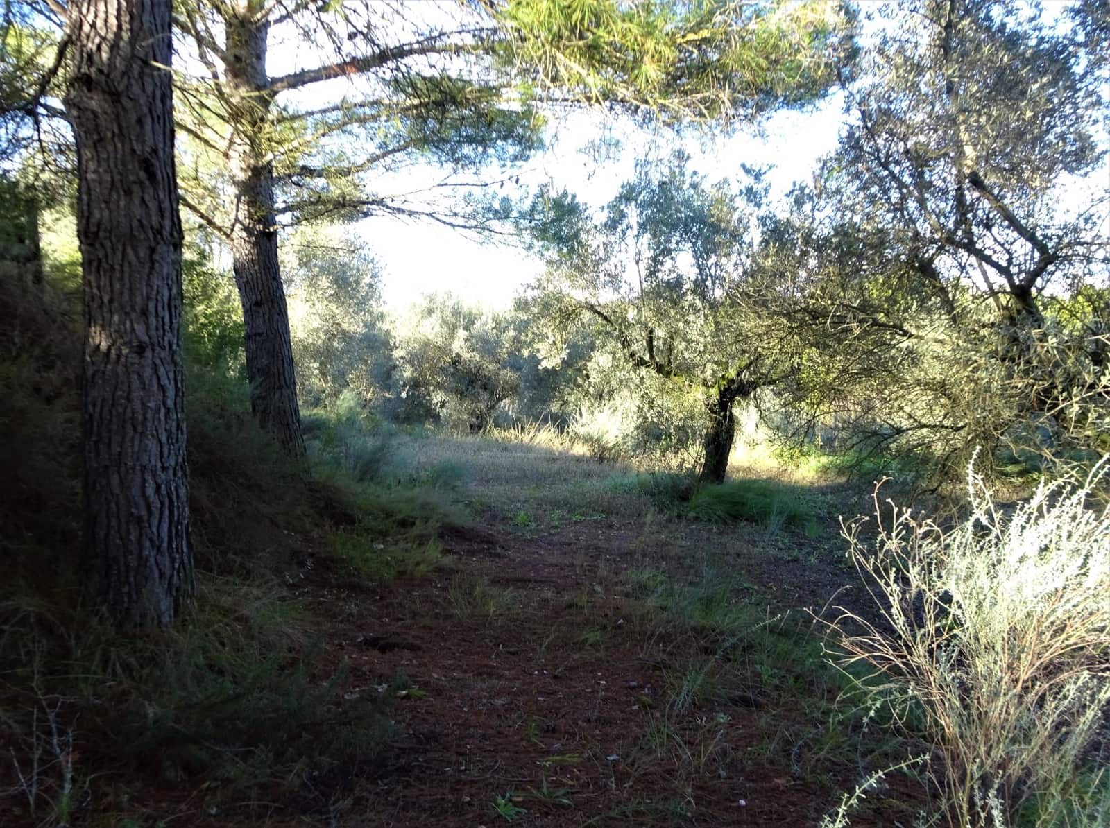 Finca/Landehus til salg i Caspe - € 32.000 (Ref: 9218578)