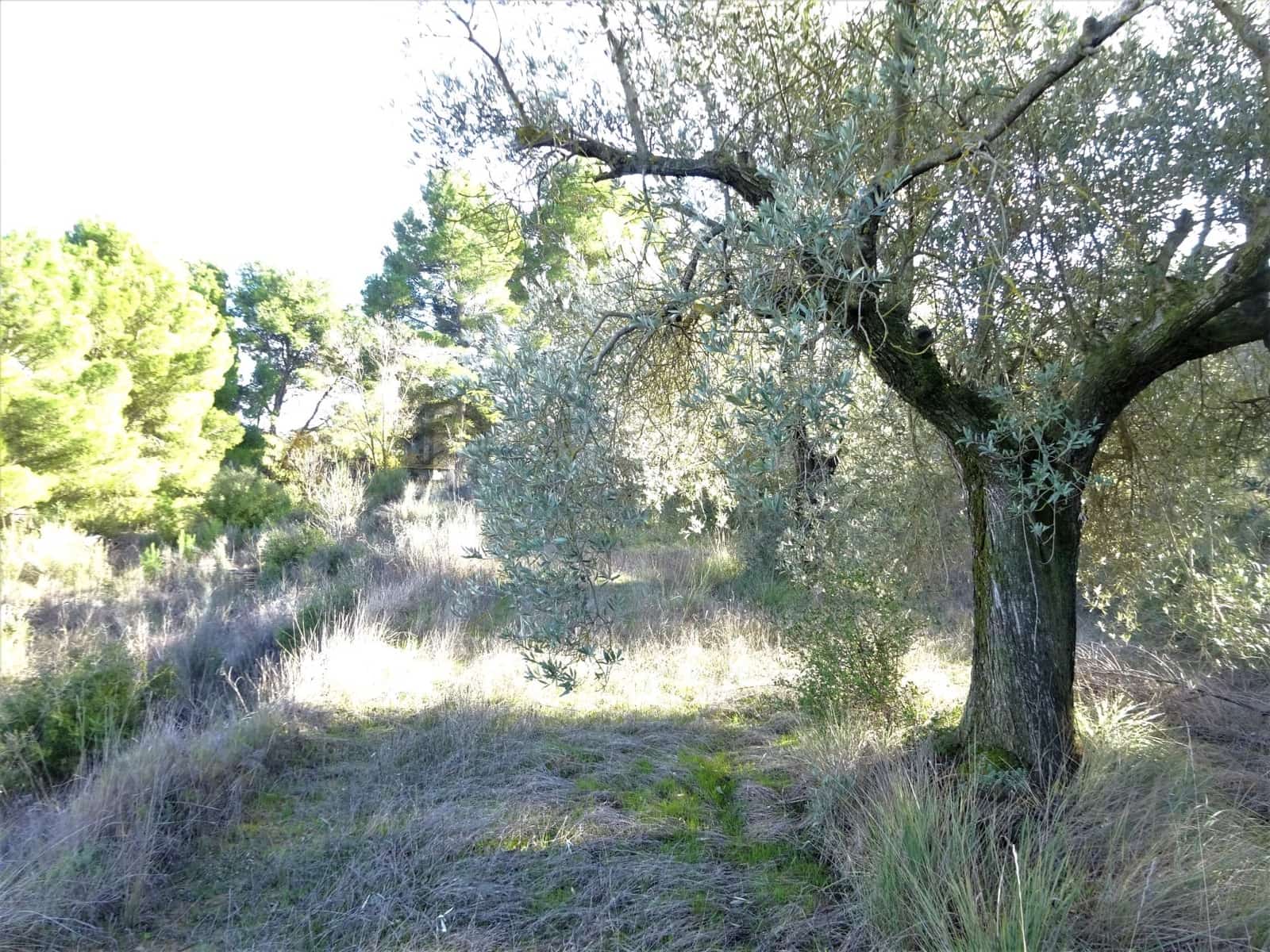 Finca/Landehus til salg i Caspe - € 32.000 (Ref: 9218578)