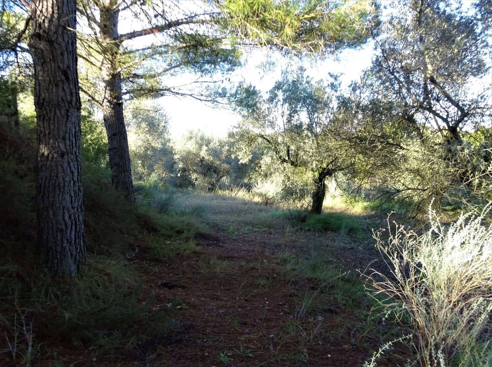 Quinta/Casa Rural para venda em Caspe - 29 500 € (Ref: 9218578)
