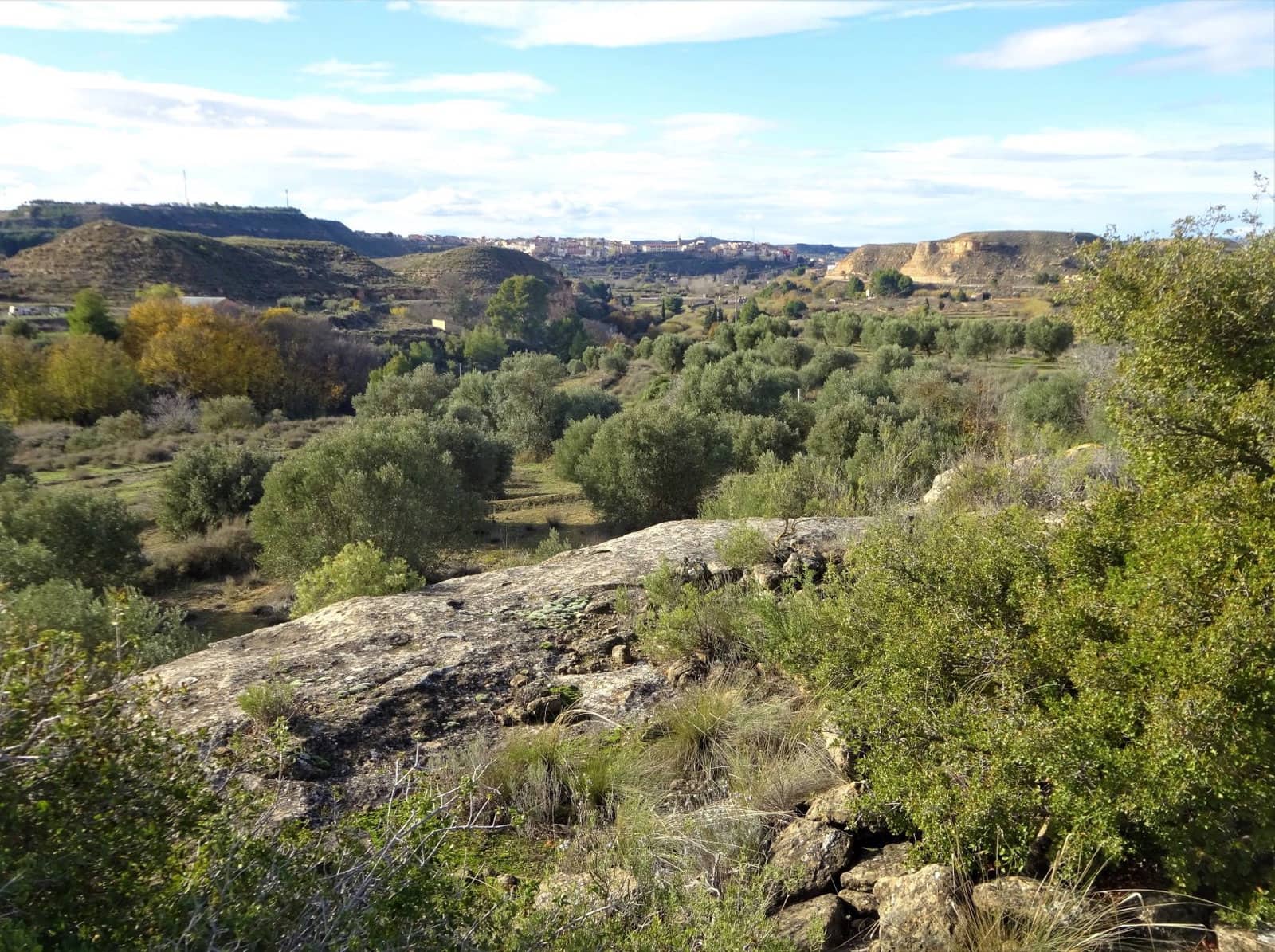 Quinta/Casa Rural para venda em Caspe - 29 500 € (Ref: 9218578)
