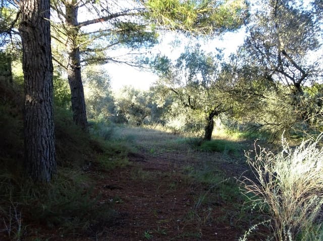 Quinta/Casa Rural para venda em Caspe - 29 500 € (Ref: 9218578)