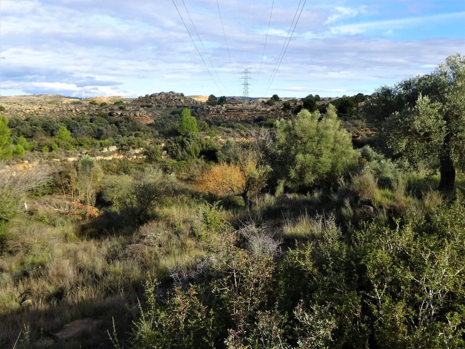 Quinta/Casa Rural para venda em Caspe - 29 500 € (Ref: 9218578)
